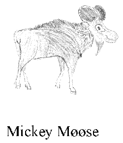Mickey Moose
