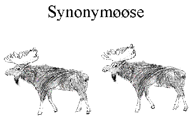 Synonymoose